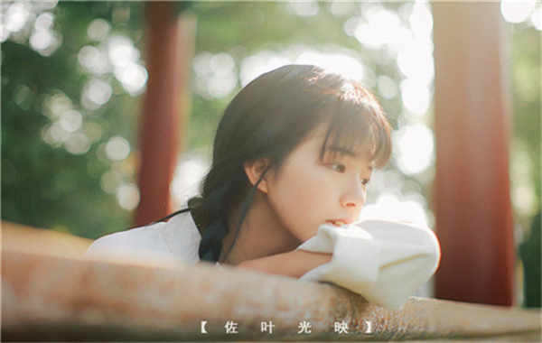 平陆胎儿性别鉴定需要多少钱(胎儿性别鉴定的方法)